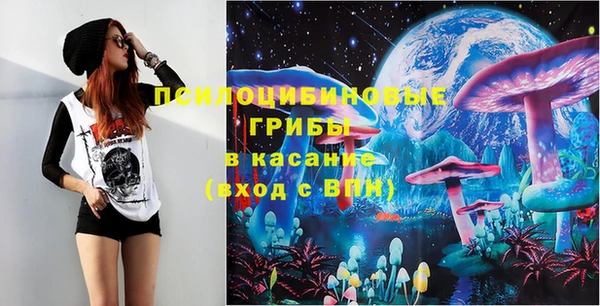 стафф Алексин