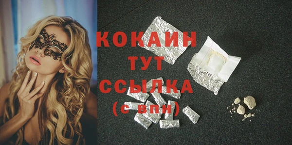 стафф Алексин