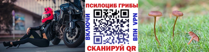 хочу   Белореченск  Галлюциногенные грибы ЛСД 