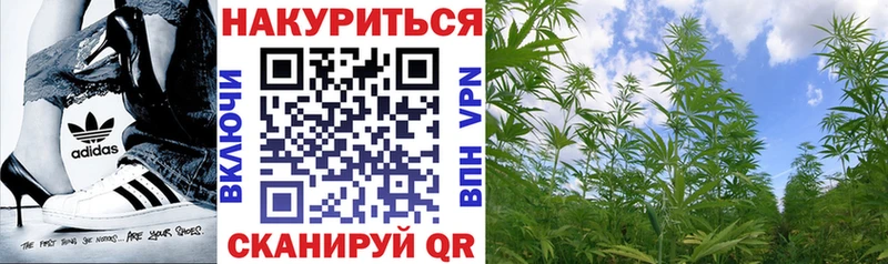 где купить наркотик Белореченск Марихуана индика